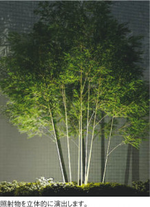 ��ħ�̿� Koizumi �������߾��� �Х꡼�ɥ饤��AU40211L