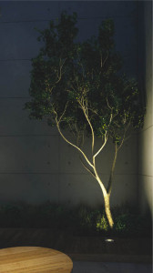 �ܹ���̿� Koizumi �������߾��� �Х꡼�ɥ饤��AU40211L