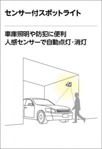 ॻ󥵡եݥåȥ饤 | ODELIC ǥå ƥꥢ饤 OG254915 | ̿饤ȥ