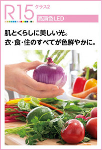 ĴĴʥ󥰡 | ODELIC ǥå 󥰥饤 OL251601R | ̿饤ȥ