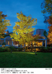 Panasonic ƥꥢݥåȥ饤 LGW40823LE1 ̿1