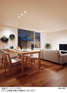 Panasonic 饤 LGD3101LQ1 ̿5