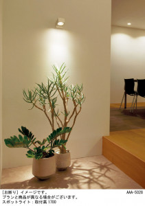 Panasonic ���ݥåȥ饤�� XAS1020VCB1 �̿�2