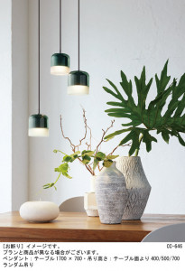 Panasonic ڥȥ饤 XLGB1852CE1 ̿1