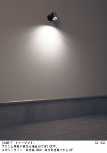 Panasonic ƥꥢȥɥ XLGE1001CT1 ̿1