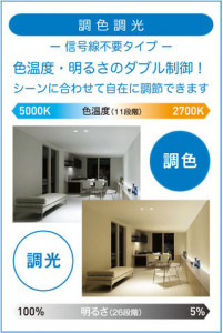 ����� | DAIKO ����ŵ� Ĵ��������饤�� DDL-CD018B