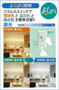 ����� | DAIKO ����ŵ� ���������إ�����饤�� DDL-4816FBG