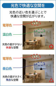 ����� | DAIKO ����ŵ� ������饤��(��������) DDL-5340YW