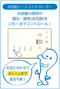 ����� | DAIKO ����ŵ� Ĵ���� DP-37643