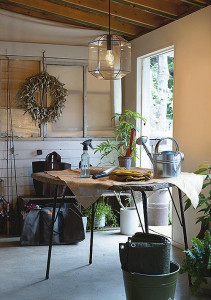 �ܹ��� | DAIKO ����ŵ� �ڥ����� DPN-41803Y