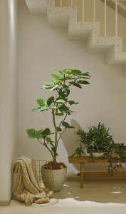 �ܹ��� | DAIKO ����ŵ� ���ݥåȥ饤�� DSL-5462YTG