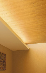 �ܹ��� | DAIKO ����ŵ� ���ܾ����Ѵ�� DSY-4556FWG