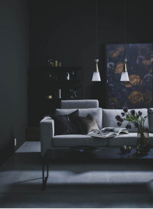 ܹ̿ | Koizumi ߾ ڥ AP50642