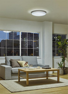 ܹ|DAIKO ŵ LEDĴ DCL-42263