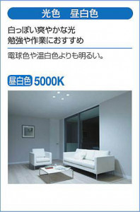 |DAIKO ŵ LED饤 DDL-5035WBG