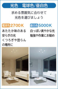 |DAIKO ŵ LED饤 DDL-6265YW