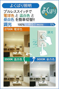 |DAIKO ŵ LEDإ饤 DDL-6267FWG