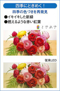 |DAIKO ŵ LEDȥɥݥå DOL-5634YS