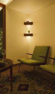 ܹ|DAIKO ŵ LED֥饱å DBK-38911Y