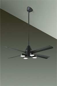 ͼ̿|DAIKO ŵ LED󥰥ե DCH-41044Y