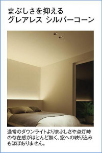 |DAIKO ŵ LED饤() DDL-5545ABG