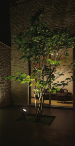 ܹ|DAIKO ŵ LEDȥɥݥå DOL-3768XB