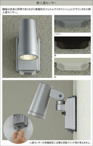 |DAIKO ŵ LEDʹ󥵡եȥɥݥå DOL-4668YB