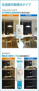 |DAIKO ŵ LEDإڥ DPN-41593G