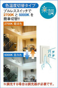 |DAIKO ŵ LEDإݥåȥ饤 DSL-4720FWG