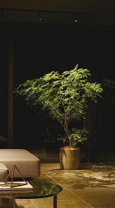 ܹ|DAIKO ŵ LEDݥåȥ饤 DSL-5345AB