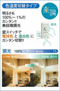 |DAIKO ŵ LEDإݥåȥ饤 DSL-5528FWG