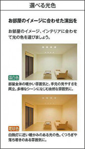 |DAIKO ŵ LEDݥåȥ饤 DSL-5610YBG