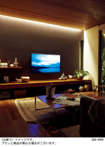 Panasonic ۲ SLB50643LB1 ̿3