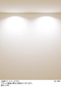 Panasonic 饤 SLD1010LLB1 ̿4