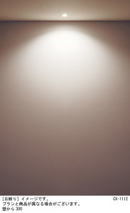 Panasonic ƥꥢ饤 SLR1010VLE1 ̿4