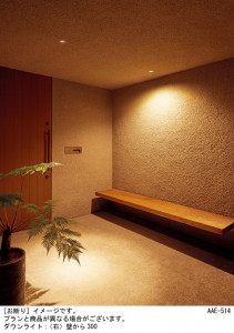 Panasonic ƥꥢ饤 SLR1030NLE1 ̿1