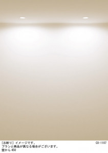 Panasonic 饤 XAD1100LKCB1 ̿6