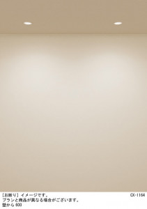 Panasonic 饤 XAD5100LCC1 ̿6