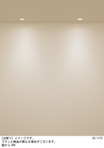 Panasonic 饤 XAD5160LCC1 ̿6