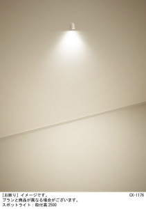 Panasonic ݥåȥ饤 XAS5000NCC1 ̿1