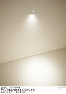 Panasonic ݥåȥ饤 XAS5020NCC1 ̿1