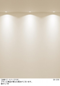 Panasonic 饤 XSZD1020NCB1 ̿3