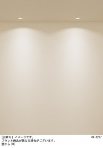 Panasonic 饤 XSZD1020VCB1 ̿4