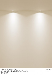 Panasonic 饤 XSZD1020VCB1 ̿5