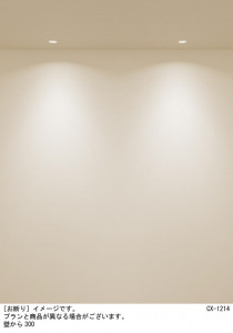 Panasonic 饤 XSZD1060NCB1 ̿1