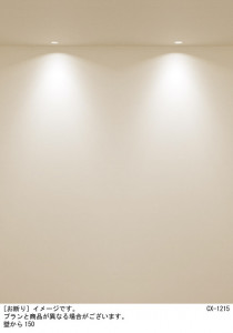 Panasonic 饤 XSZD1060VCB1 ̿2