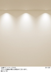 Panasonic 饤 XSZD1062NCB1 ̿3