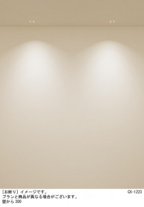 Panasonic 饤 XSZD1062VCB1 ̿1