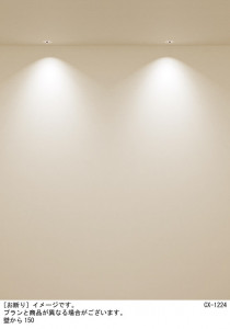 Panasonic 饤 XSZD1062VCB1 ̿2