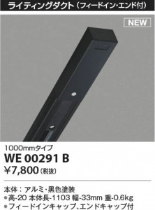 β Koizumi ߾ 饤ƥ󥰥(եɥ󡦥ա WE00291B